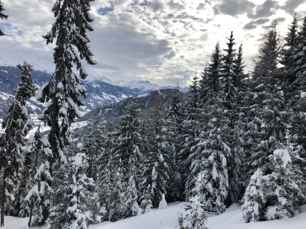 Skitour Innsbruck - wohin?