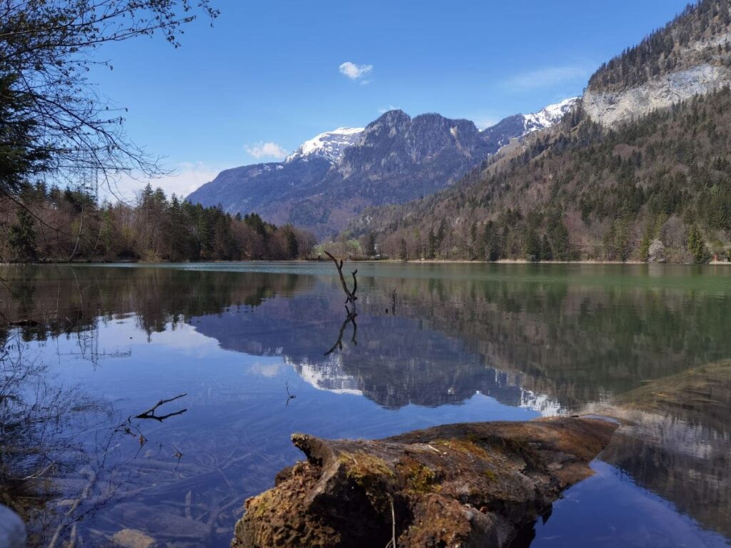 Reintaler See Innsbruck - toll für eine Frühlingswanderung und im Sommer zum Schwimmen