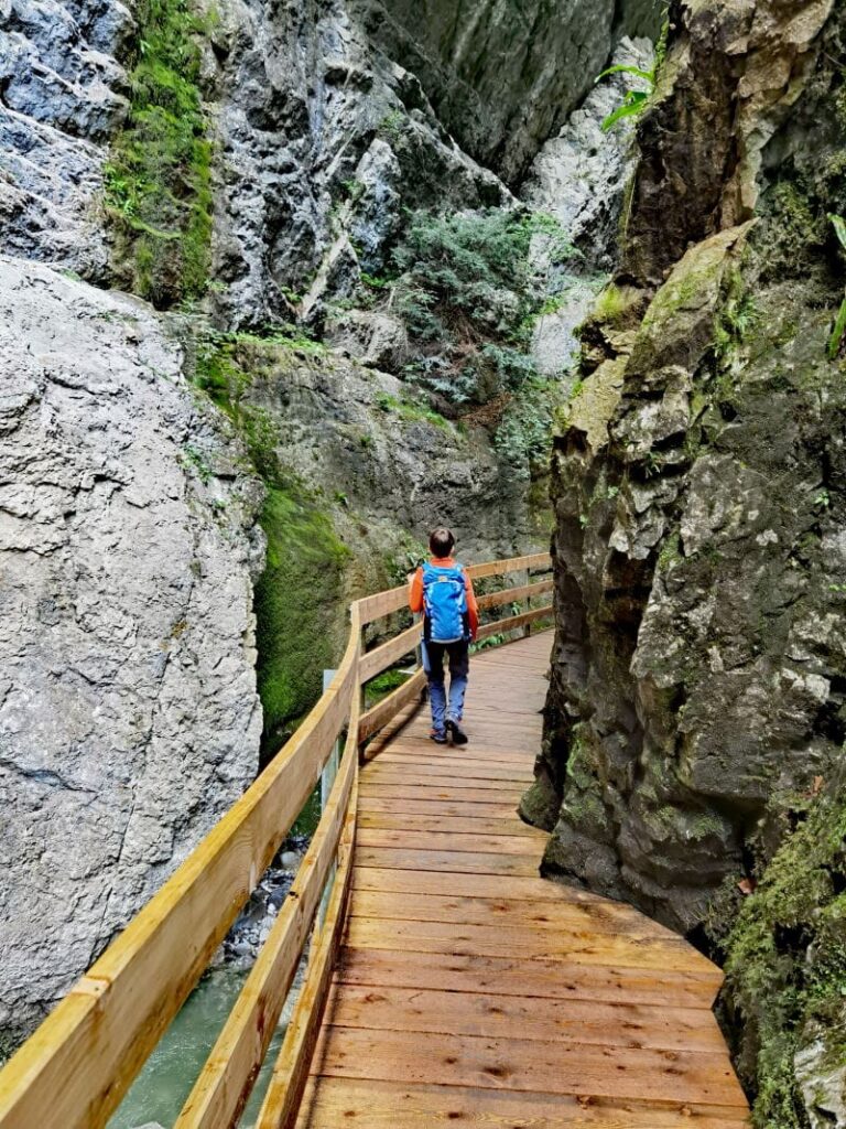 zwei außergewöhnliche Reiseziele auf einer Wanderung: Rappenlochschlucht und Alplochschlucht