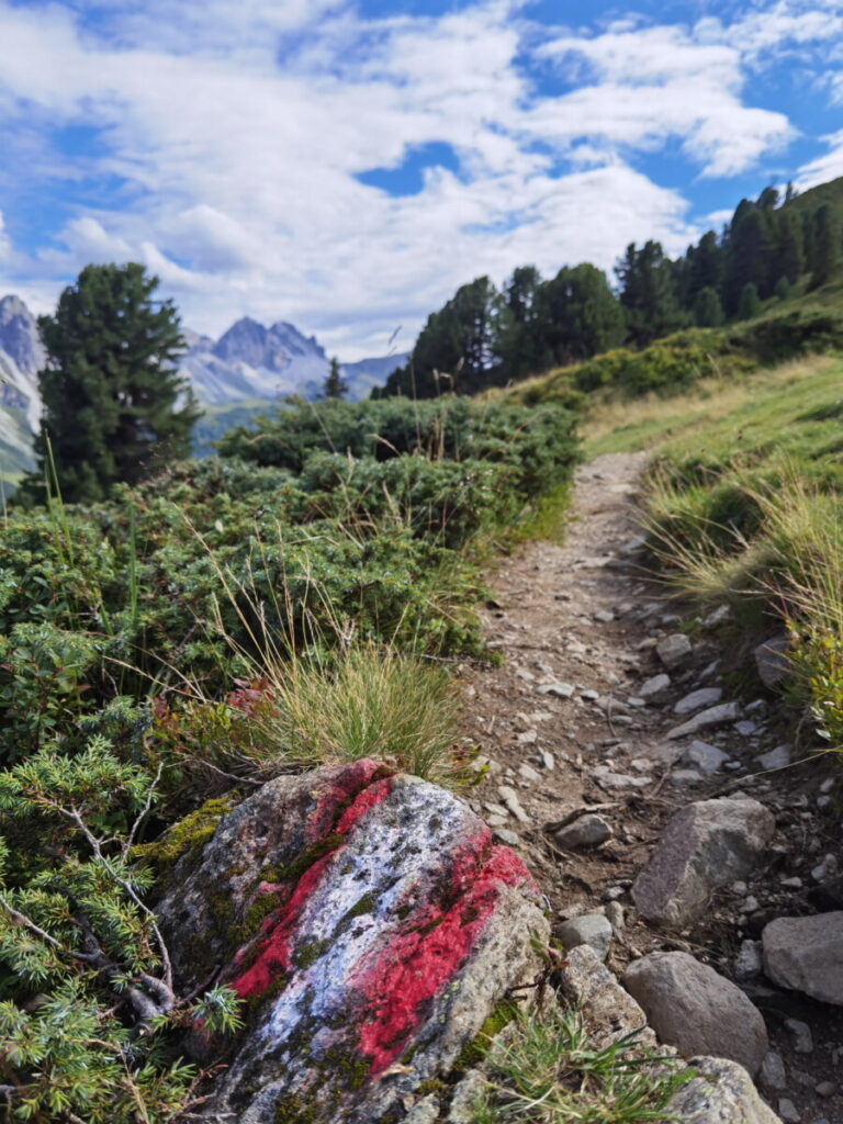 Die Schönanger See Wanderung führt auf diesem Wandesteig hinauf